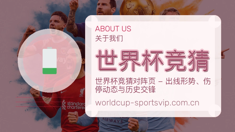 世界杯竞猜平台看赛服务介绍